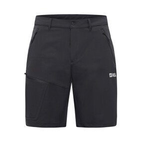 Pico Trail Shorts Men afbeelding