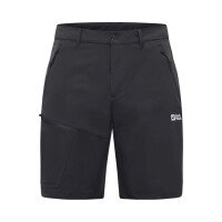 Pico Trail Shorts Men afbeelding