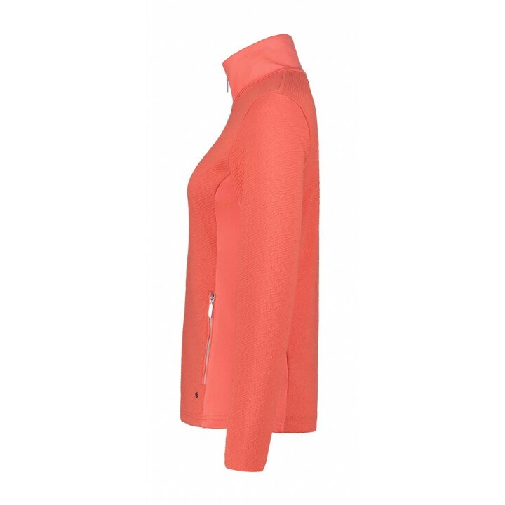  Ilvesoja Vest afbeelding