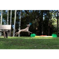 350100004 3 afbeelding