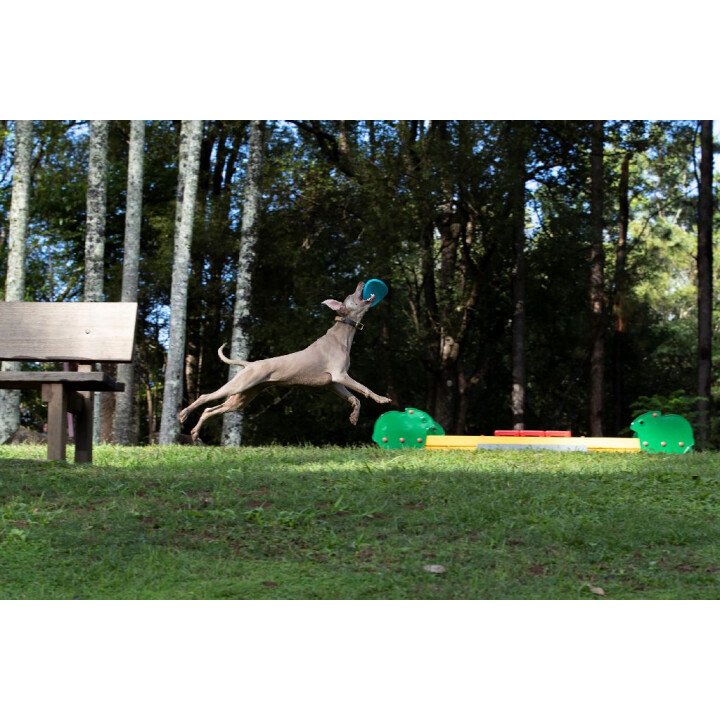 350100004 3 afbeelding