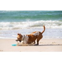 350100004 4 afbeelding