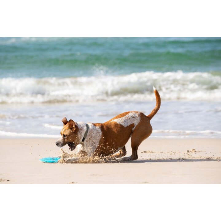 350100004 4 afbeelding