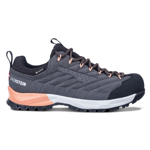 SF-21 GTX Lo Wms Wandelschoen afbeelding