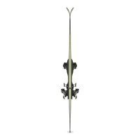 Racetiger SC Vmotion3 + Vmotion afbeelding