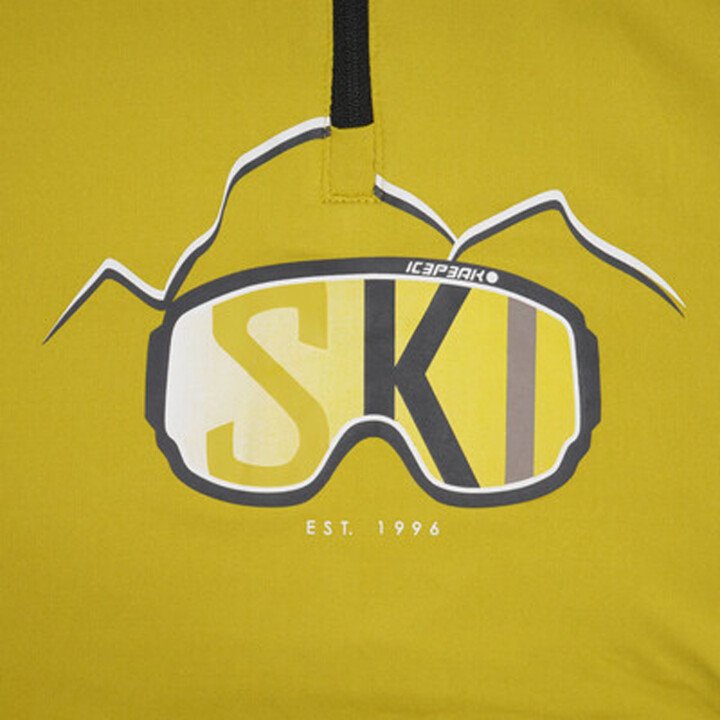 Layton Jr Ski Pully afbeelding