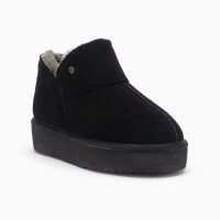 310000123 1 afbeelding