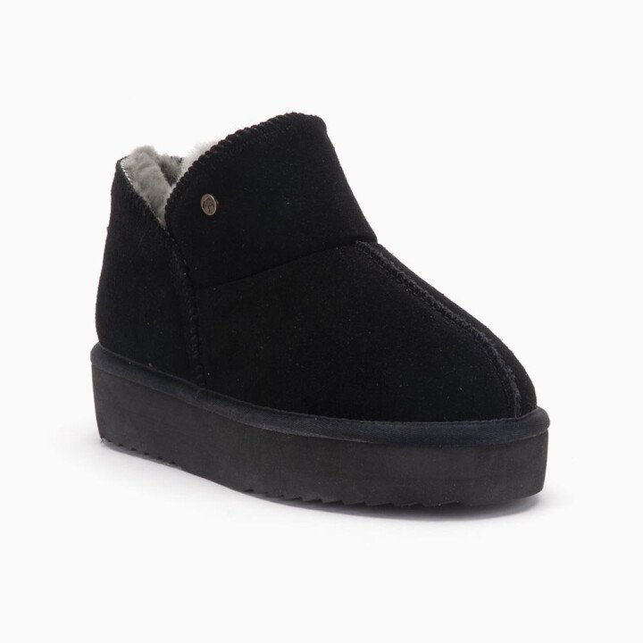 310000123 1 afbeelding