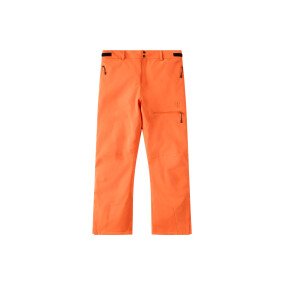 Arctic 2L Insulated Pant Men afbeelding