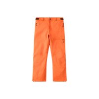 Arctic 2L Insulated Pant Men afbeelding