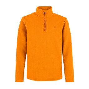 Reperfecty JR 1/4 Zip Active Top afbeelding