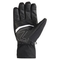 GALISO-Z GTX GOREPLUS Glove Men afbeelding