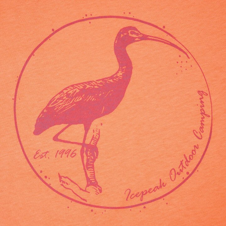  Mattoon Shirt afbeelding