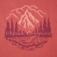  Mattoon Shirt afbeelding