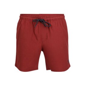 Bru-conic-N Men Swim Shorts afbeelding