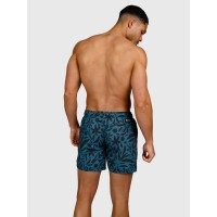 Cester-AO Men Swim Shorts afbeelding