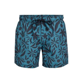 Cester-AO Men Swim Shorts afbeelding