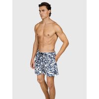 Cester-AO Men Swim Shorts afbeelding