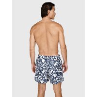 Cester-AO Men Swim Shorts afbeelding