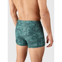 Samier-Print Men Swim Trunks afbeelding