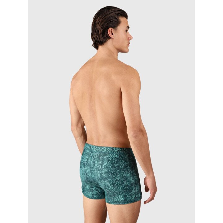 Samier-Print Men Swim Trunks afbeelding