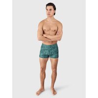Samier-Print Men Swim Trunks afbeelding