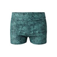 Samier-Print Men Swim Trunks afbeelding