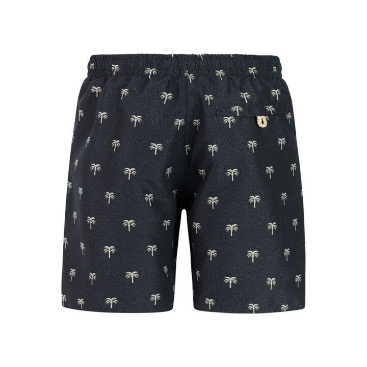 PRTCalvin JR Beachshort afbeelding