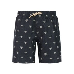 PRTCalvin JR Beachshort afbeelding
