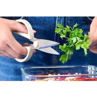 061010153 2 afbeelding