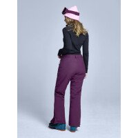 Arctic 2L Insulated Pant Women afbeelding