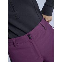 Arctic 2L Insulated Pant Women afbeelding