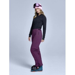 Arctic 2L Insulated Pant Women afbeelding