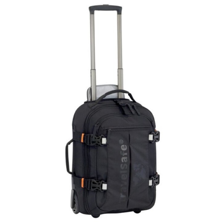 TS2101 trolley 2 311x650 afbeelding
