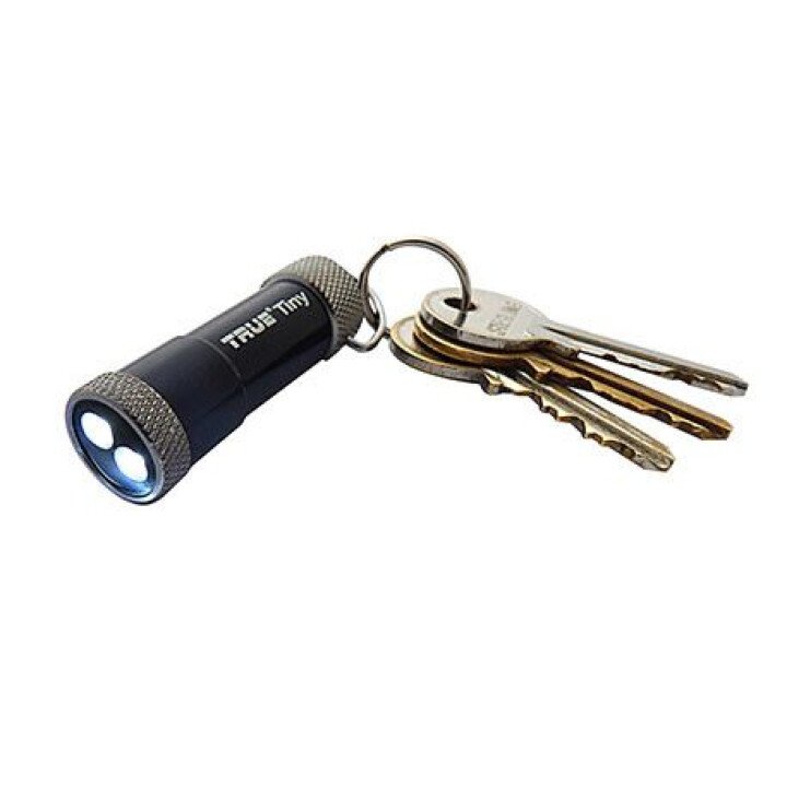 TU TinyTorch afbeelding