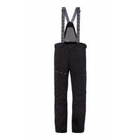 Dare GTX Ski Pant Men afbeelding