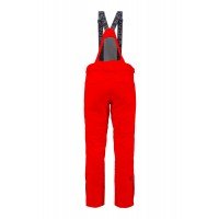 Dare GTX Ski Pant Men afbeelding