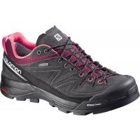 X Alp Ltr GTX r W L37927000 311000082 afbeelding
